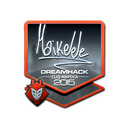 Maikelele (Foil) | Cluj-Napoca 2015