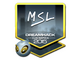 Sticker | MSL (Foil) | Cluj-Napoca 2015