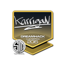 karrigan | Cluj-Napoca 2015