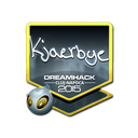 Kjaerbye (Foil) | Cluj-Napoca 2015