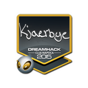 Kjaerbye | Cluj-Napoca 2015