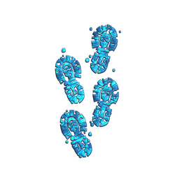 Sticker | CT Tracks (Glitter)