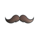 Mustachio (Foil)