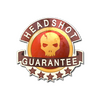 Sticker | Headshot Guarantee