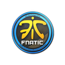 Fnatic | Cologne 2014
