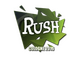 OpTic Gaming | RUSH