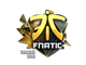 Sticker | Fnatic (Foil) | Cologne 2016