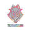 Sticker | G2 Esports (Holo) | Copenhagen 2024