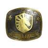 Sticker | Team Liquid (Gold) | Austin 2025