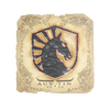Sticker | Team Liquid | Austin 2025