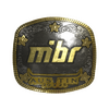 Sticker | MIBR (Gold) | Austin 2025