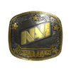 Sticker | Natus Vincere (Gold) | Austin 2025