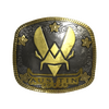 Sticker | Vitality (Gold) | Austin 2025