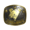 Sticker | Virtus.Pro (Gold) | Austin 2025