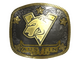 Sticker | Virtus.Pro (Gold) | Austin 2025