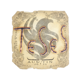 Sticker | TeSeS | Austin 2025