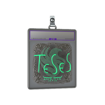 Sticker Slab | TeSeS (Foil) | Austin 2025