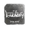 Sticker | Lucaozy (Foil) | Austin 2025