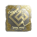 cool4st (Gold) | Austin 2025