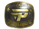 Sticker | paiN Gaming (Gold) | Austin 2025