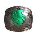 Falcons (Foil) | Austin 2025