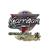 Sticker | karrigan (Glitter, Champion) | Antwerp 2022