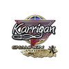 Sticker | karrigan (Champion) | Antwerp 2022