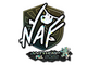 Sticker | NAF (Glitter) | Antwerp 2022