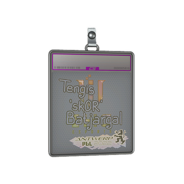 Sticker Slab | sk0R (Holo) | Antwerp 2022