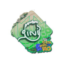 Sticker | VINI | Rio 2022