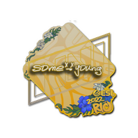 Sticker | sdy | Rio 2022