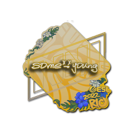 Sticker | sdy | Rio 2022