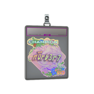 Sticker Slab | n0rb3r7 (Holo, Champion) | Rio 2022