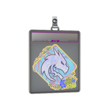 Sticker Slab | Team Spirit (Holo) | Rio 2022