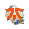 Sticker | Fnatic | Rio 2022