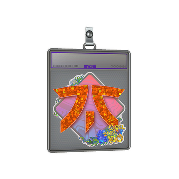 Sticker Slab | Fnatic (Glitter) | Rio 2022