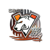 Sticker | Virtus.pro | 2020 RMR
