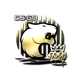 Sticker | FURIA (Gold) | 2020 RMR