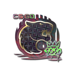 Sticker | FURIA (Holo) | 2020 RMR