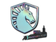 Sticker | Team Liquid (Holo) | Stockholm 2021