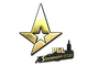 Astralis (Gold) | Stockholm 2021 | Astralis (Gold) | Stockholm 2021