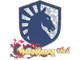 Sticker | Team Liquid (Glitter) | Shanghai 2024