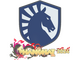 Sticker | Team Liquid | Shanghai 2024