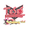 Sticker | TeSeS | Shanghai 2024