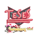 TeSeS | Shanghai 2024