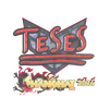 Sticker | TeSeS (Holo) | Shanghai 2024
