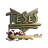 Sticker | TeSeS (Gold) | Shanghai 2024