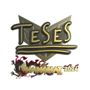 TeSeS (Gold) | Shanghai 2024