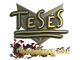 Sticker | TeSeS (Gold) | Shanghai 2024