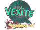 Sticker | vexite (Holo) | Shanghai 2024
